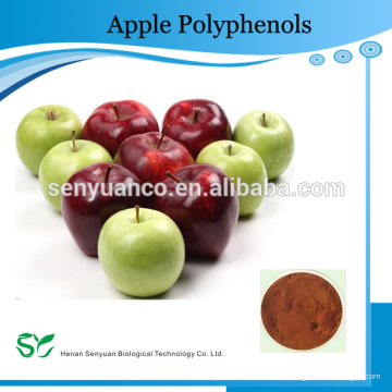 100% natürliche organische Apple Polyphenole